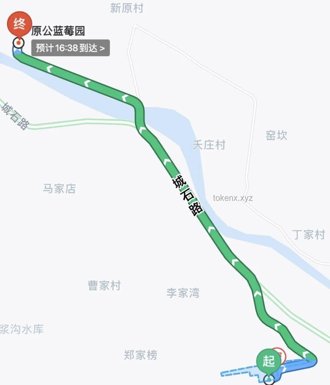 **如何与白鹿共赴一场完美夏日之恋**